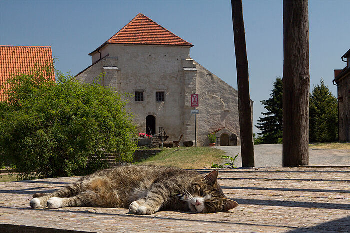 Konradsburg Castle, Ermsleben, photograph: Christoph Jann, © Kulturstiftung Sachsen-Anhalt