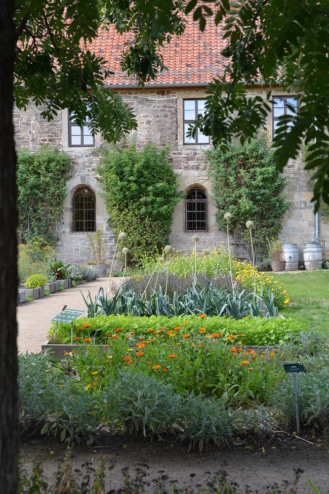 Blick in den Gemüsegarten